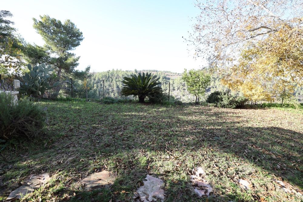 מהסמארטפון שלי